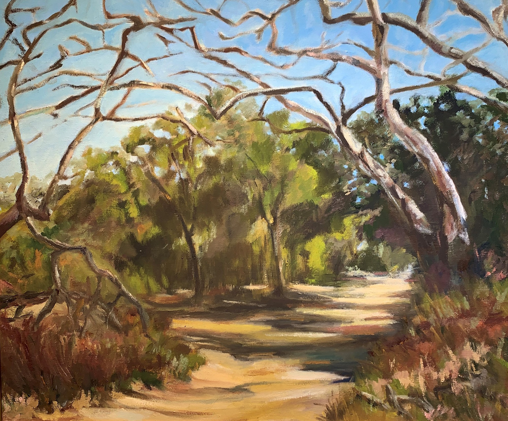 san-clemente-canyon-sycamores by Maureen Blackhall