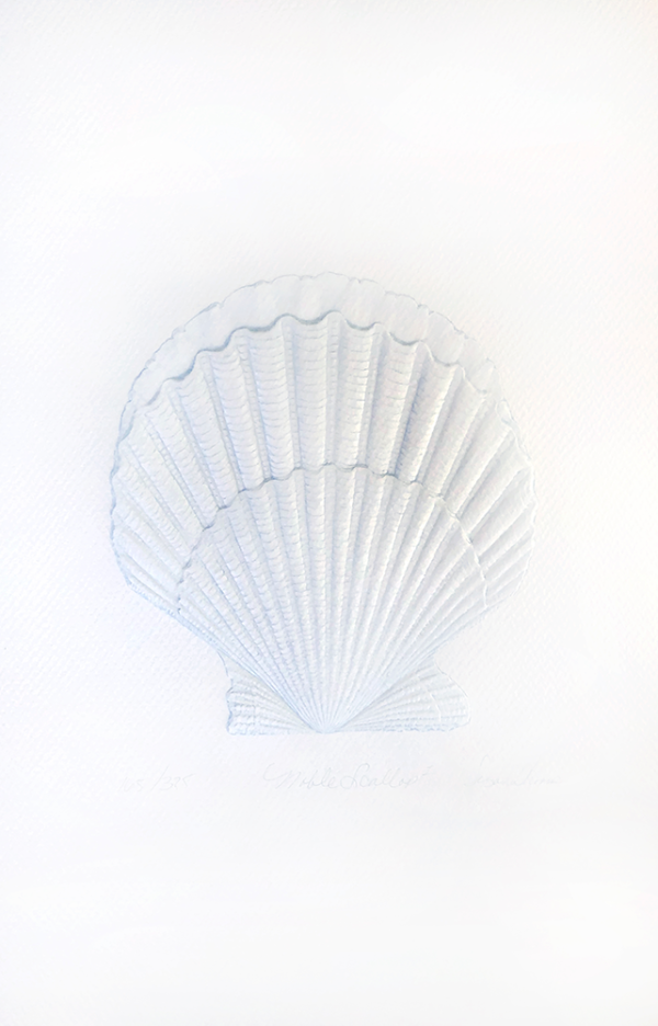 Noble Scallop Blue